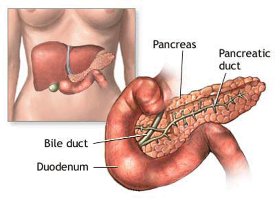 Pankreas İltihabı